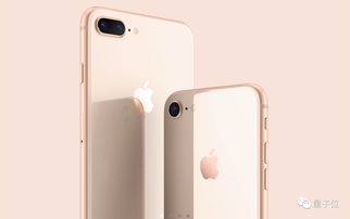 iphone7和iphone8（iphone7和iphone8对比）