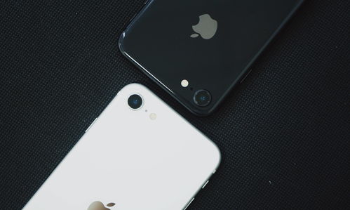 iphone5g手机有哪些（iPhone5g机型）