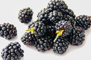 黑莓和桑葚的区别（黑莓和桑葚的区别外形）