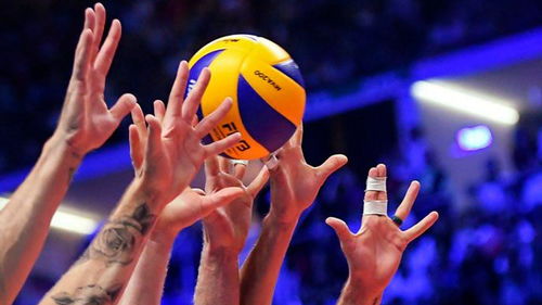 volleyball（volleyball图片）