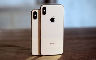 苹果iphone10（苹果iphone15概念机）