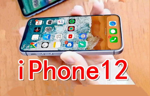 iphone11尺寸大小（iphone14大小对比）
