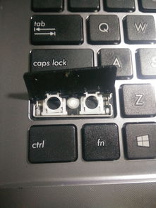 整个电脑键盘被锁住了