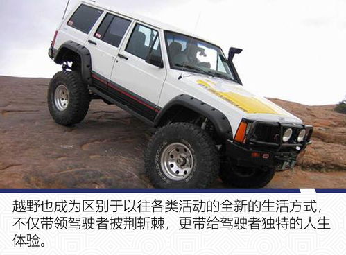 北京jeep越野所有车型(北京jeep越野所有车型价格40)