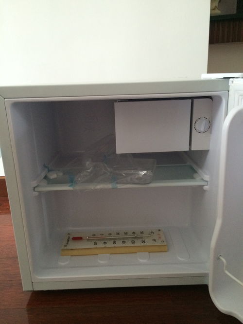 海尔小冰箱价格及图片(海尔小冰箱迷你特价)