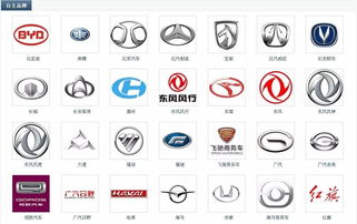 国产汽车品牌标志大全(新能源国产汽车品牌标志大全)