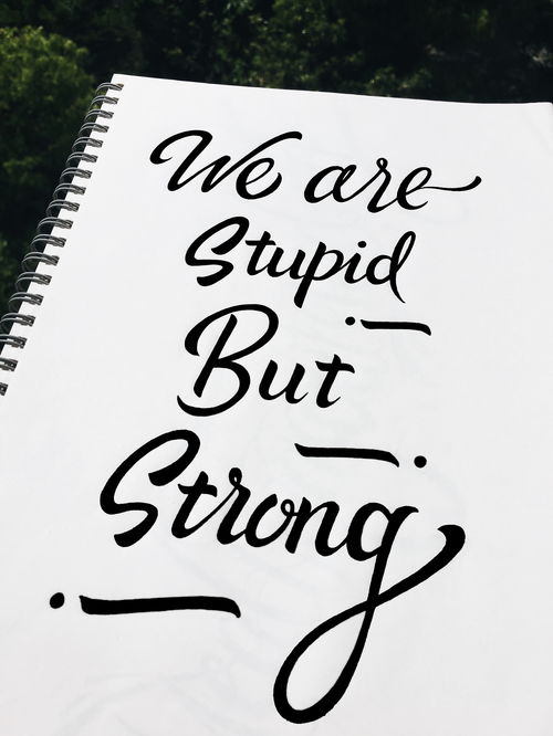 strong(strong的中文)