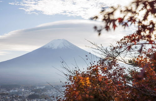 富士山(富士山在日本哪里)