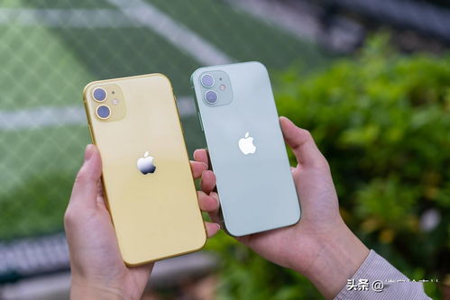 iphone13最新官方消息多少钱(苹果13最新消息价格)