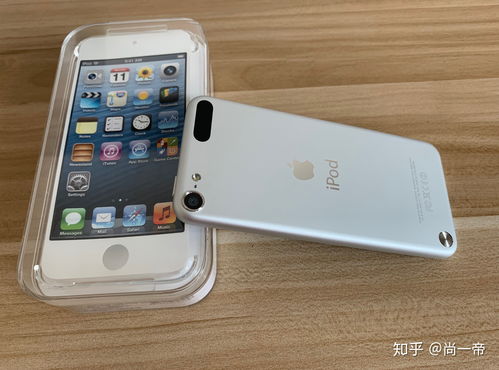 ipodtouch5处理器(ipod touch处理器)