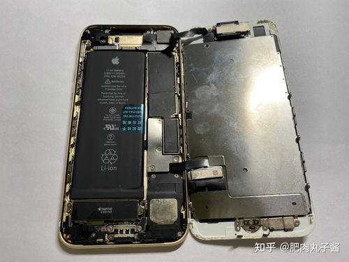 iphone7官方换电池价格(iphone7换电池人工费多少钱)