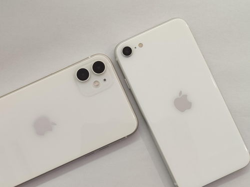 iphone3(iphone3gs中国上市价格)