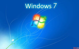windows7中文版(Windows7中文版应用基础第二版魏茂林)
