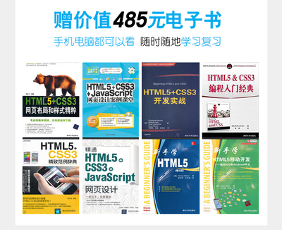 css设计指南(css, the definitive guide)