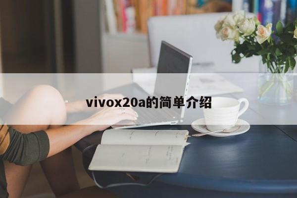 vivox20a的简单介绍[20240521更新]