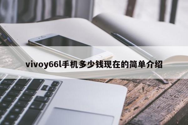 vivoy66l手机多少钱现在的简单介绍