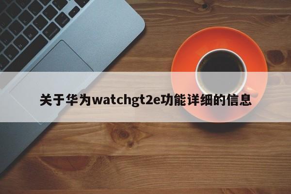 关于华为watchgt2e功能详细的信息