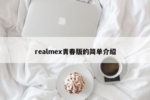 realmex青春版的简单介绍