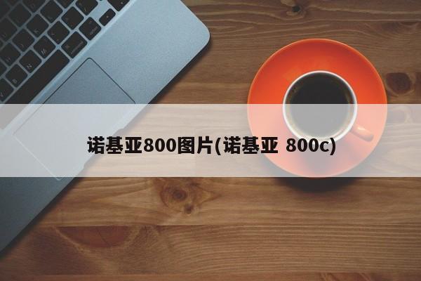 诺基亚800图片(诺基亚 800c)