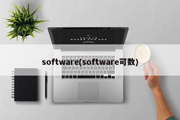 software(software可数)
