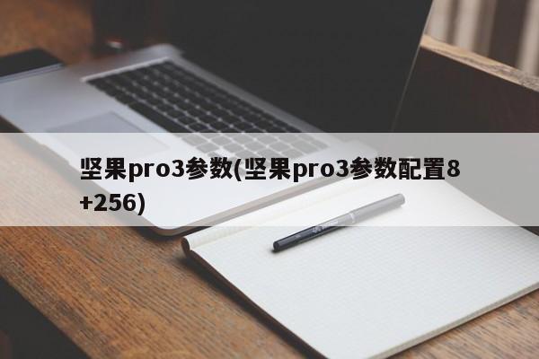 坚果pro3参数(坚果pro3参数配置8+256)