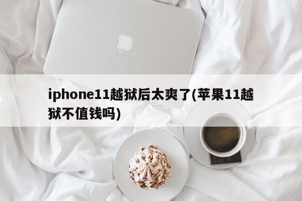 iphone11越狱后太爽了(苹果11越狱不值钱吗)