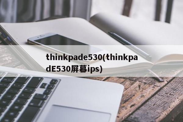 thinkpade530(thinkpadE530屏幕ips)