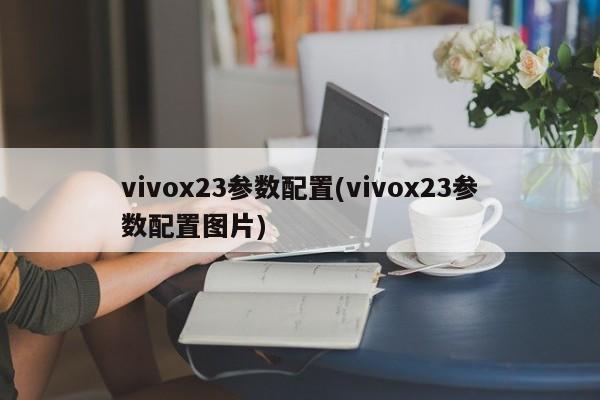 vivox23参数配置(vivox23参数配置图片)