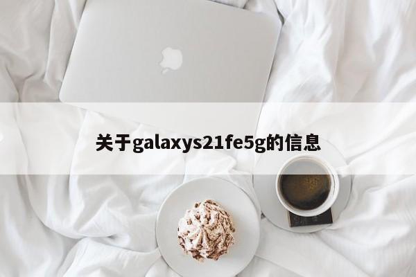 关于galaxys21fe5g的信息