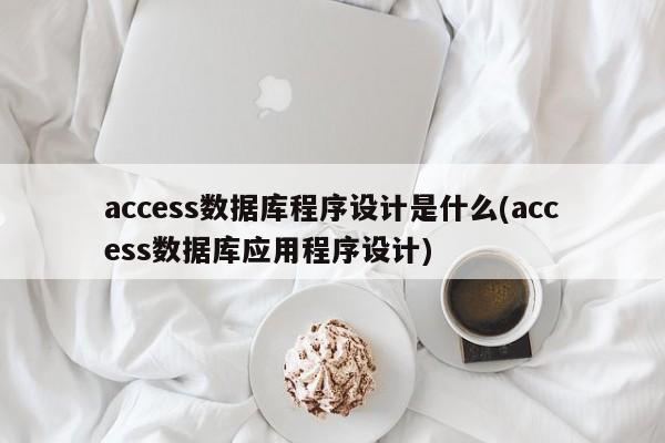 access数据库程序设计是什么(access数据库应用程序设计)