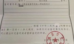 陇南市房产证明怎么开(陇南房产管理局官网)