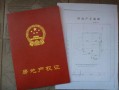 女孩打房产证怎么打(女孩打房产证怎么打出来)
