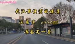 怎么做好房产投资者(如何成为房产投资高手)