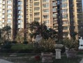 舒城房产东方御府怎么样(舒城房产东方御府怎么样啊)