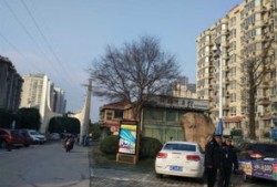 金龙房产中介怎么了(金龙中介有限公司)