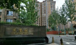 凤凰网房产怎么加盟代理(凤凰网房产公司怎么样)