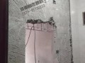 房产达人洪水墙怎么弄(房产达人墙洞在哪)
