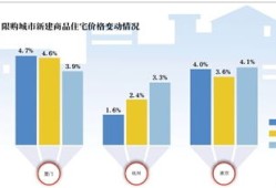 房产刺激政策效果分析怎么写(房地产政策影响效应分析)