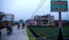 绵阳燕姐房产怎么样(四川燕姐)