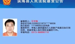 欠钱不还处置房产怎么办(欠钱不还有房产怎么办)