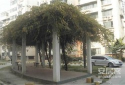 西安未央紫薇房产怎么样(西安紫薇的房子质量怎么样)