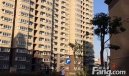 上海徐泾房产怎么样(上海徐泾房价格)