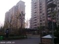 苏家屯铭家房产怎么样(苏家屯名京广场最新消息)