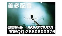 房产项目音频怎么做的(房地产音频)