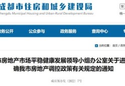 子女名下没房产怎么办(名下没房孩子怎么落户)