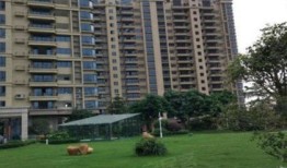 柳河恒大房产怎么样(柳州市恒大御府地址)