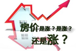 海拓房产直播间怎么进入(海拓房地产有限公司)