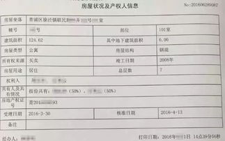 怎么查房产证占比例(怎么查房产证的比例)
