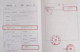 房产证共同共有怎么分(房产证共同共有份额如何确定)