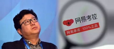 丹哥房产咨询怎么样(丹哥是谁)